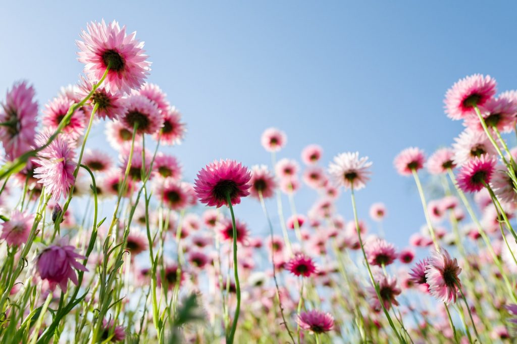 8 Antihistamine Side Effects You Should Know