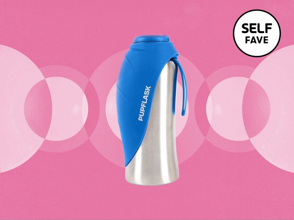 This Water Bottle Is The Only Thing That Keeps My Extremely Picky Dog Hydrated