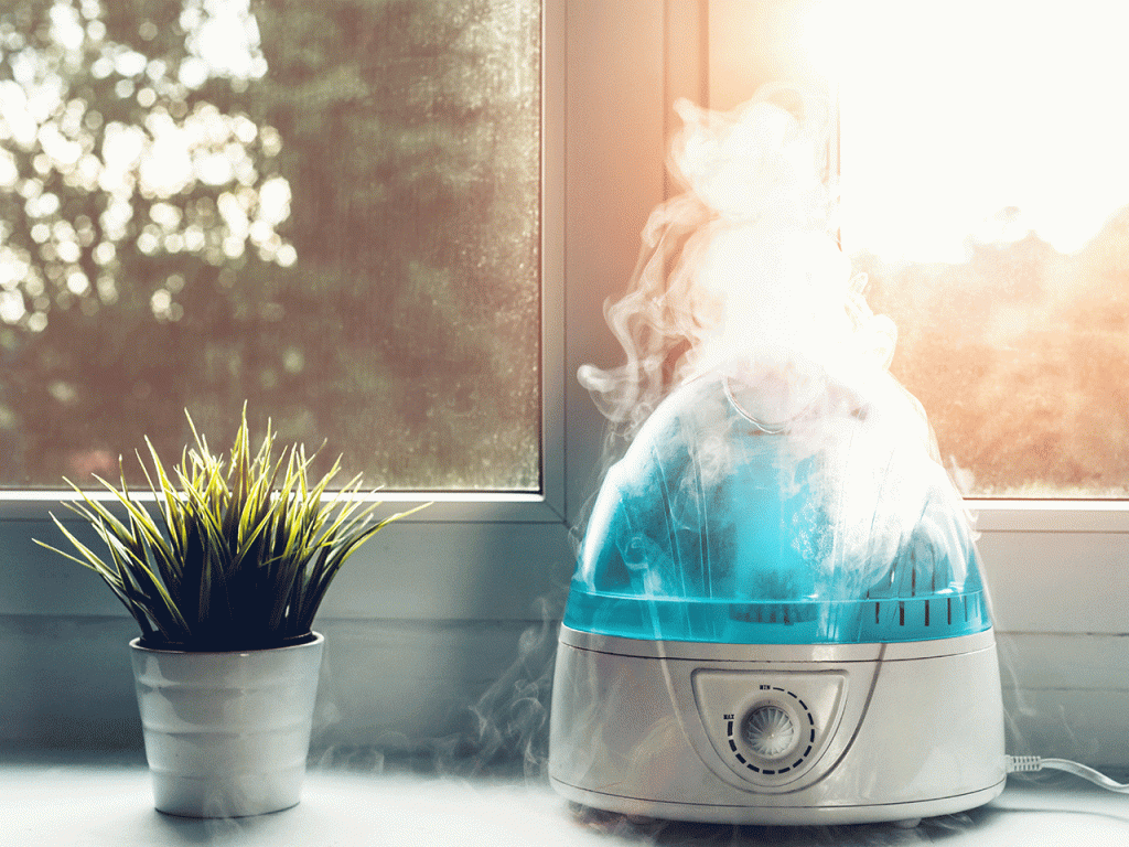 The 14 Best Humidifiers to Combat Dry Winter Air